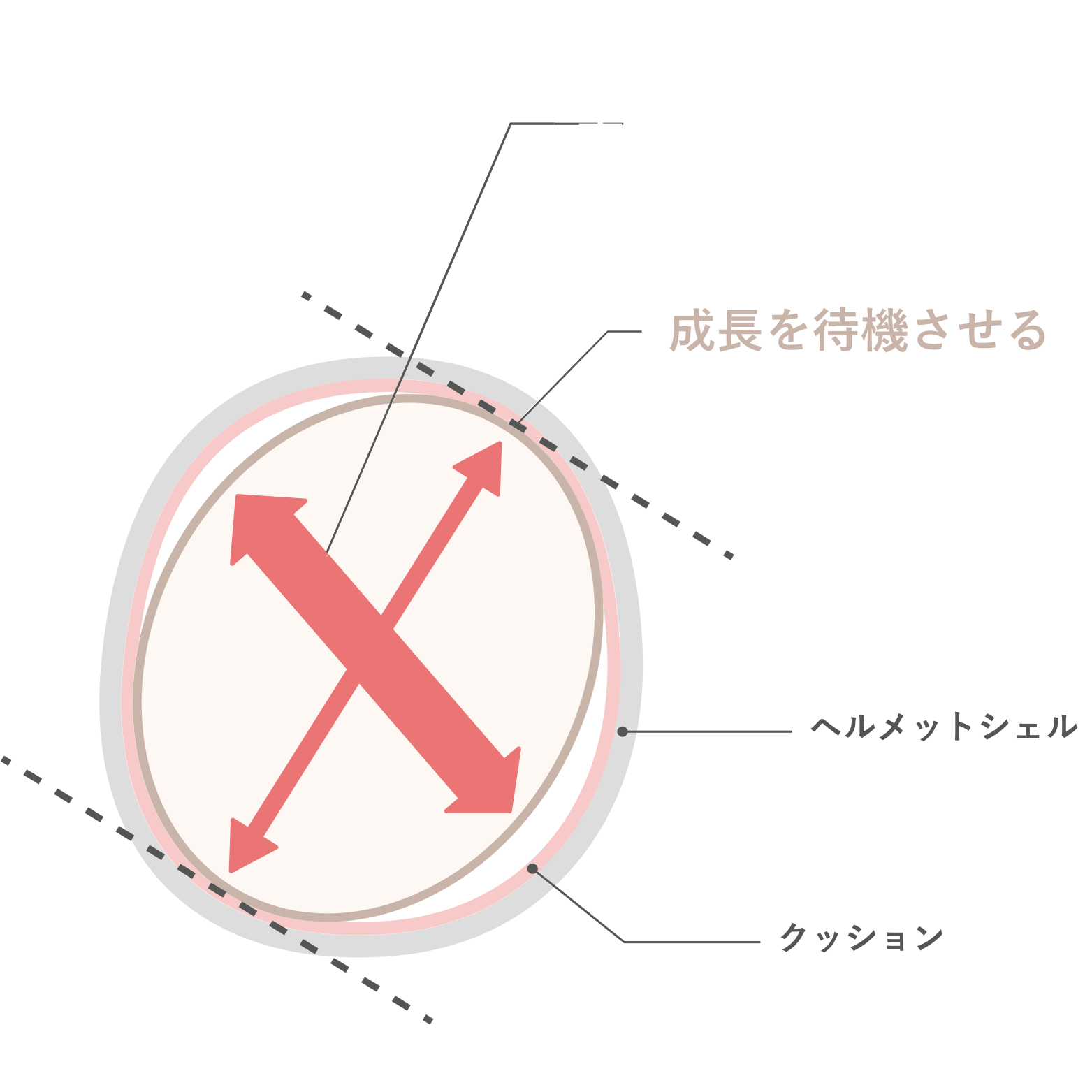 頭の図形