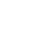 クラゲの画像