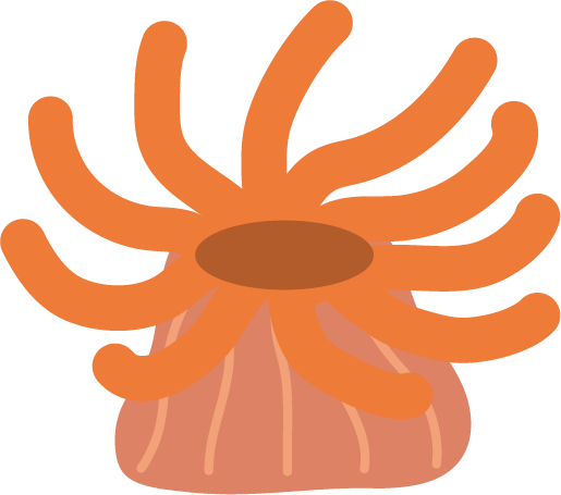 イソギンチャクの画像