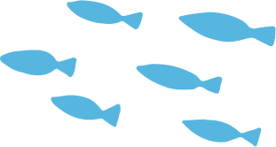 魚の群れの画像